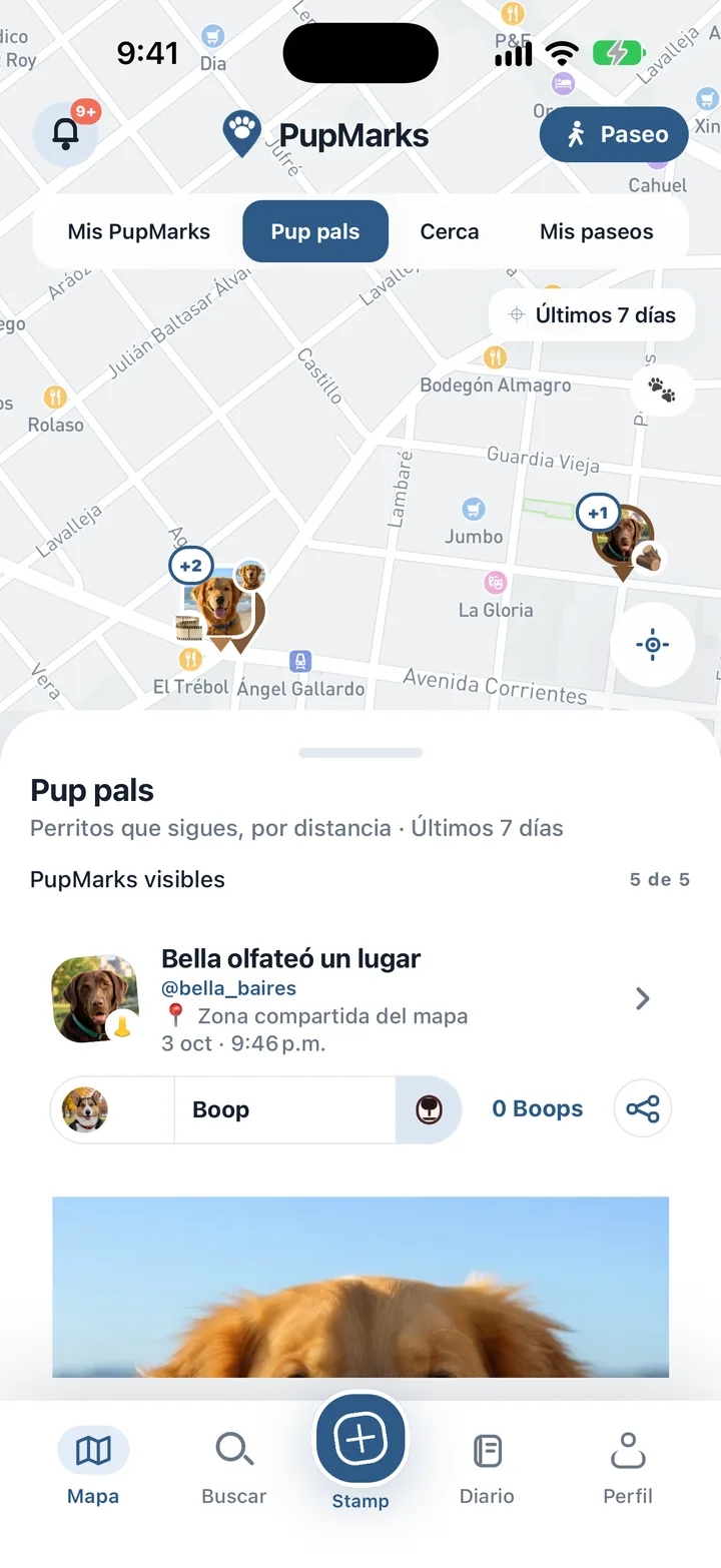 PupMarks de olfateo y juego compartidos por Pup pals cerca de Cheesman Park en Denver