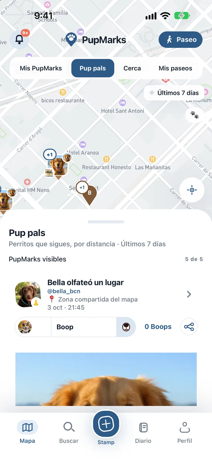 PupMarks de olfateo y juego compartidos por Pup pals cerca de Cheesman Park en Denver