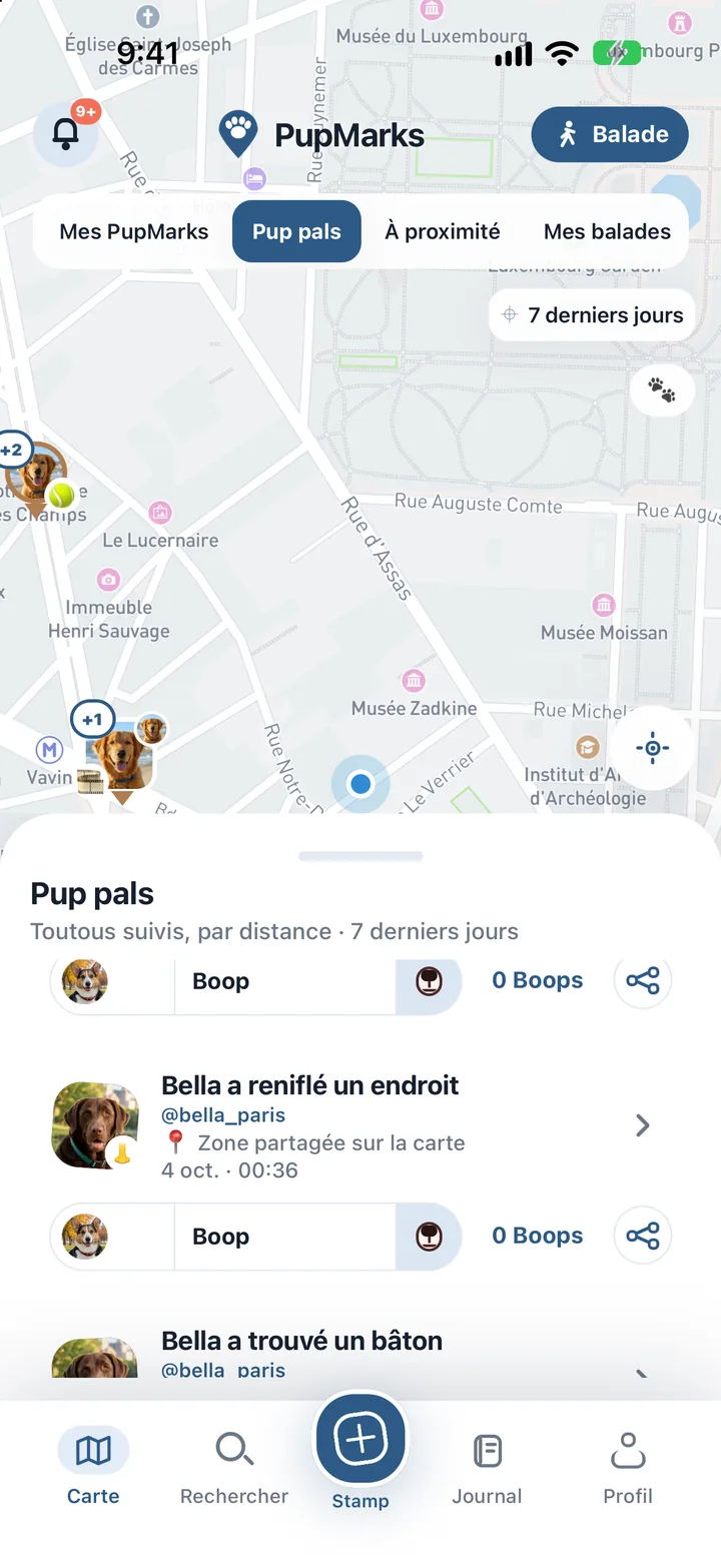 PupMarks de reniflage et de jeu partagés par des Pup pals près de Cheesman Park à Denver