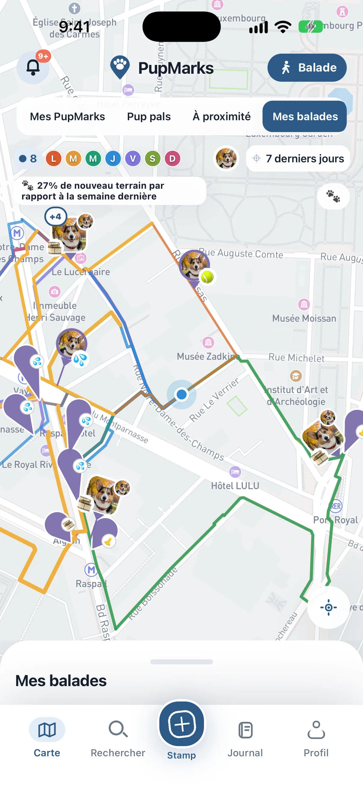 Carte iOS PupMarks montrant 43 % de nouveaux chemins par rapport à la semaine précédente et les nouvelles portions d'itinéraire en doré