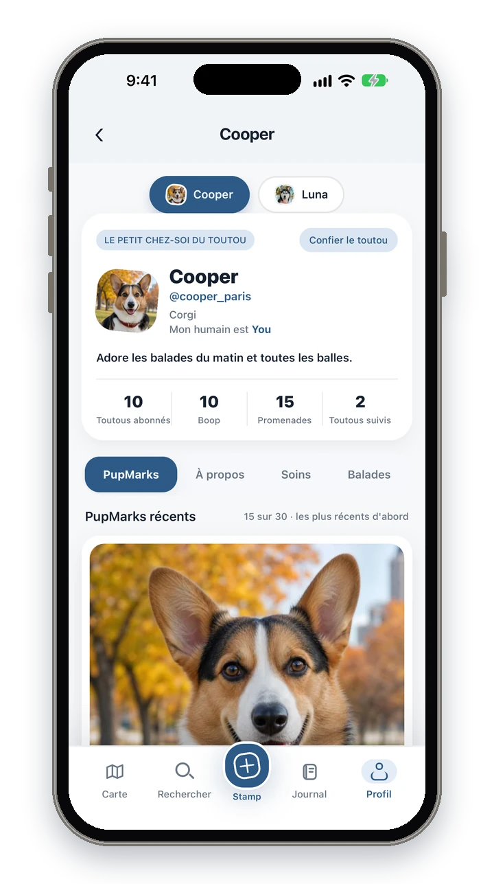 Le profil de Cooper dans PupMarks avec le sélecteur de chiens Cooper et Luna, et une rangée avec les abonnés, les Boops, les promenades et les toutous suivis.